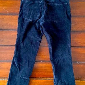 Black Velvet Petite Pants